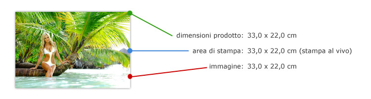 Stampa 45x30 Silk montata su Forex