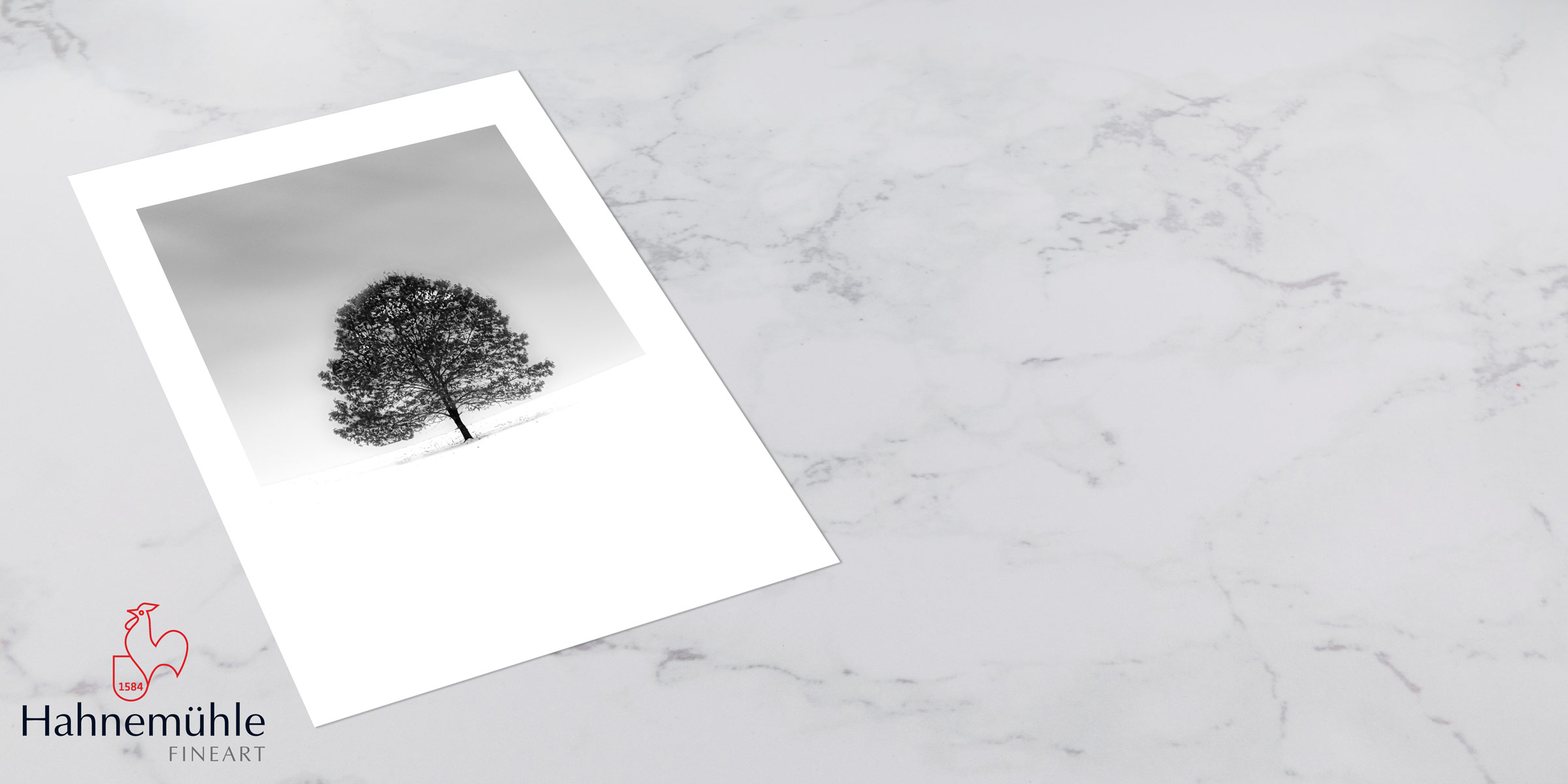 Torchon Bright White