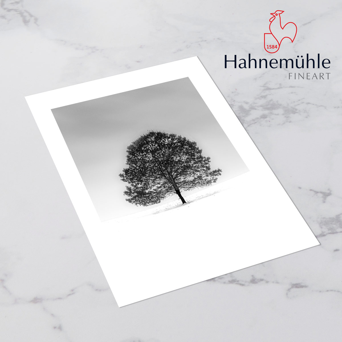 Papel Torchon 285g - Bright White