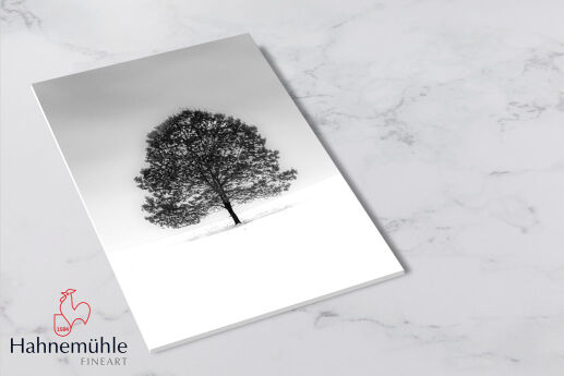 Torchon Bright White