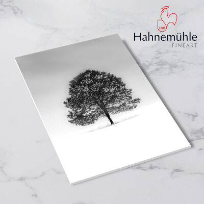 Fine-Art Torchon Bright White su Forex